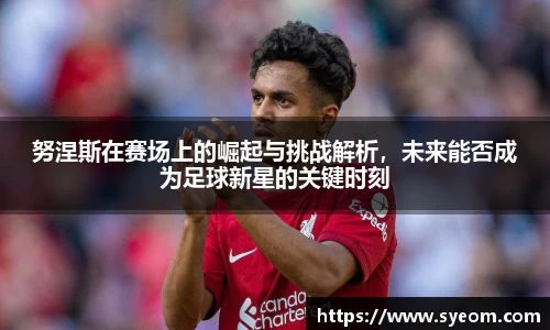 努涅斯在赛场上的崛起与挑战解析，未来能否成为足球新星的关键时刻